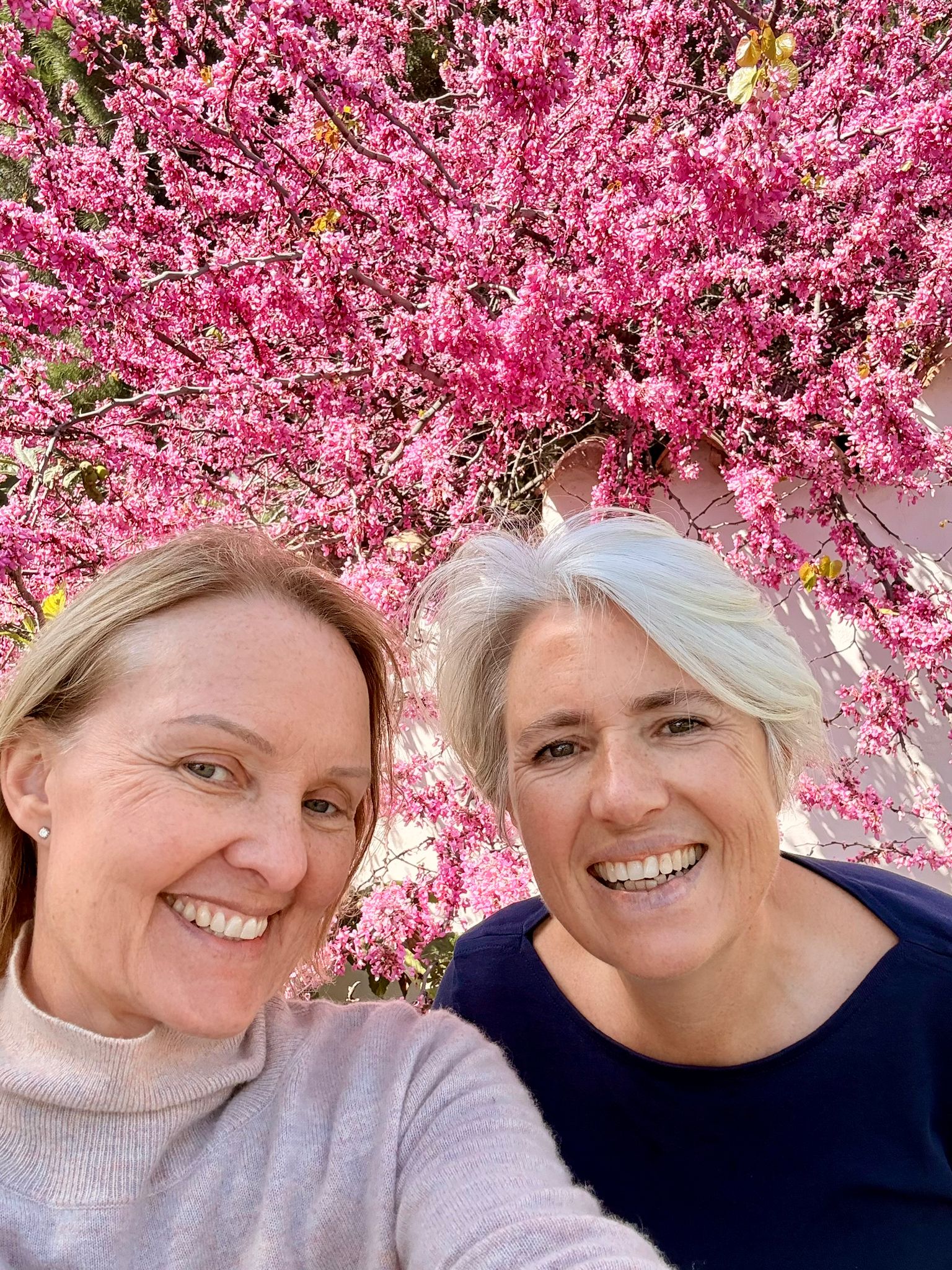 Living in Full Bloom